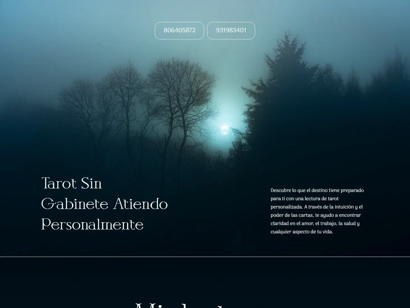 landing 6 · niebla y bosque